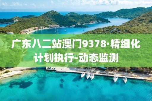 廣東八二站澳門9378·精細(xì)化計(jì)劃執(zhí)行-動(dòng)態(tài)監(jiān)測