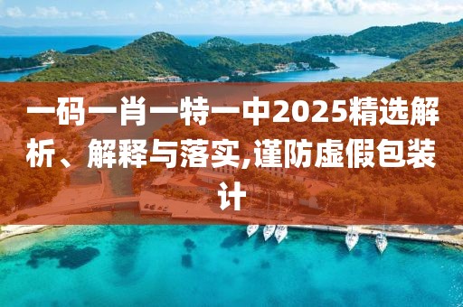 一碼一肖一特一中2025精選解析、解釋與落實(shí),謹(jǐn)防虛假包裝計(jì)
