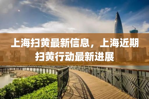 上海掃黃最新信息，上海近期掃黃行動最新進展