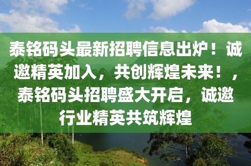 泰銘碼頭最新招聘信息出爐！誠(chéng)邀精英加入，共創(chuàng)輝煌未來(lái)！，泰銘碼頭招聘盛大開(kāi)啟，誠(chéng)邀行業(yè)精英共筑輝煌