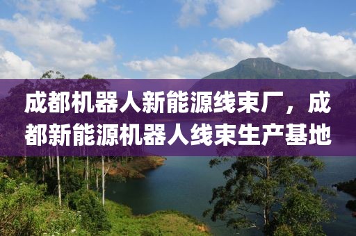成都機(jī)器人新能源線束廠，成都新能源機(jī)器人線束生產(chǎn)基地