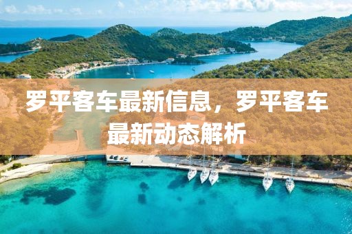 羅平客車最新信息，羅平客車最新動(dòng)態(tài)解析