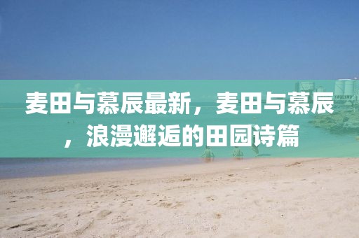 麥田與慕辰最新，麥田與慕辰，浪漫邂逅的田園詩篇