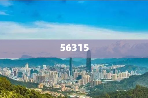 2025新澳及香港精準(zhǔn)正版免費(fèi)大全-評(píng)估解讀、解釋與落實(shí),防范虛假誘騙