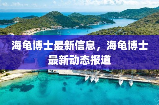海龜博士最新信息，海龜博士最新動(dòng)態(tài)報(bào)道
