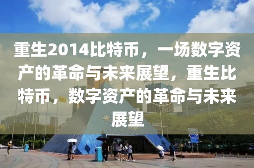 重生2014比特幣，一場(chǎng)數(shù)字資產(chǎn)的革命與未來展望，重生比特幣，數(shù)字資產(chǎn)的革命與未來展望