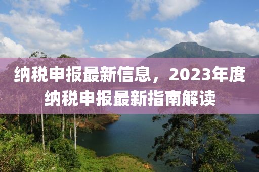 納稅申報最新信息，2023年度納稅申報最新指南解讀