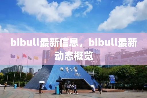 bibull最新信息，bibull最新動(dòng)態(tài)概覽