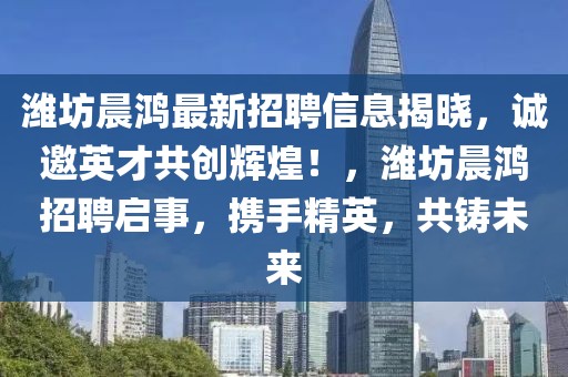 濰坊晨鴻最新招聘信息揭曉，誠(chéng)邀英才共創(chuàng)輝煌！，濰坊晨鴻招聘啟事，攜手精英，共鑄未來(lái)