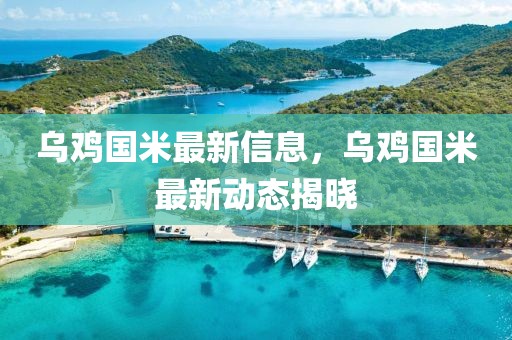 烏雞國米最新信息，烏雞國米最新動態(tài)揭曉