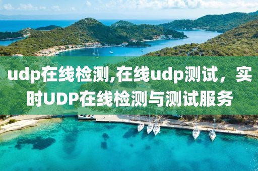 udp在線(xiàn)檢測(cè),在線(xiàn)udp測(cè)試，實(shí)時(shí)UDP在線(xiàn)檢測(cè)與測(cè)試服務(wù)