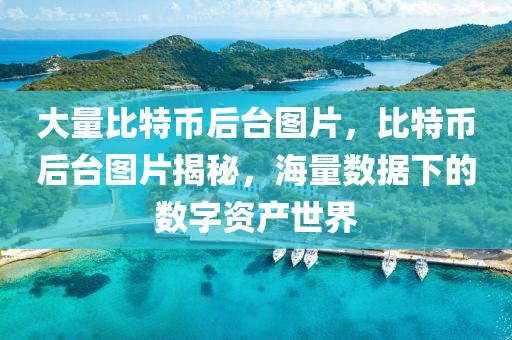 大量比特幣后臺(tái)圖片，比特幣后臺(tái)圖片揭秘，海量數(shù)據(jù)下的數(shù)字資產(chǎn)世界