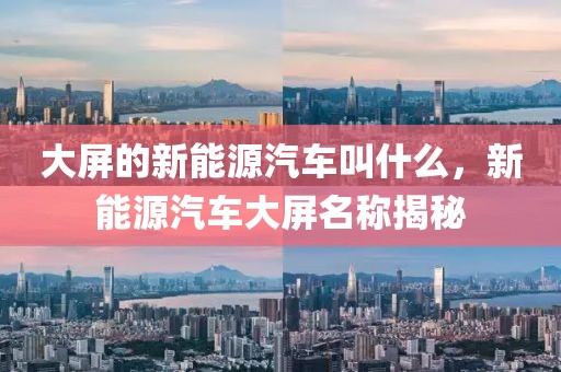 大屏的新能源汽車叫什么，新能源汽車大屏名稱揭秘