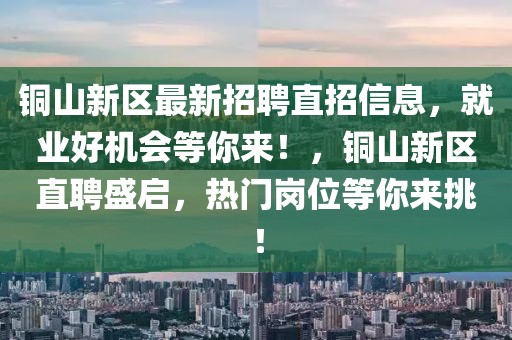 銅山新區(qū)最新招聘直招信息，就業(yè)好機(jī)會(huì)等你來(lái)！，銅山新區(qū)直聘盛啟，熱門(mén)崗位等你來(lái)挑！