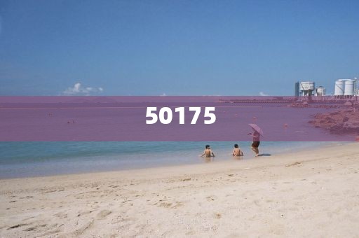 2025新澳正版資料最新網(wǎng)的最新正品關(guān)注落實(shí)-火速報(bào)道