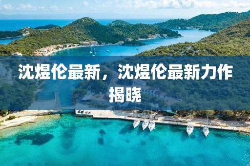 沈煜倫最新，沈煜倫最新力作揭曉