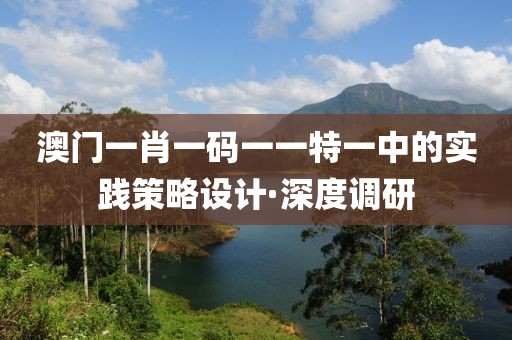 澳門(mén)一肖一碼一一特一中的實(shí)踐策略設(shè)計(jì)·深度調(diào)研