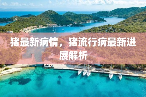 豬最新病情，豬流行病最新進展解析