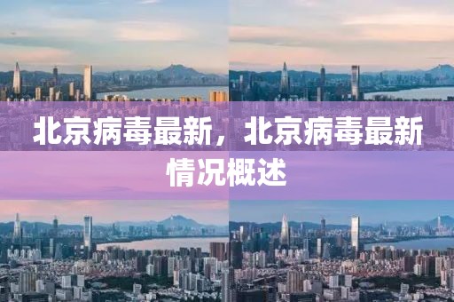 北京病毒最新，北京病毒最新情況概述