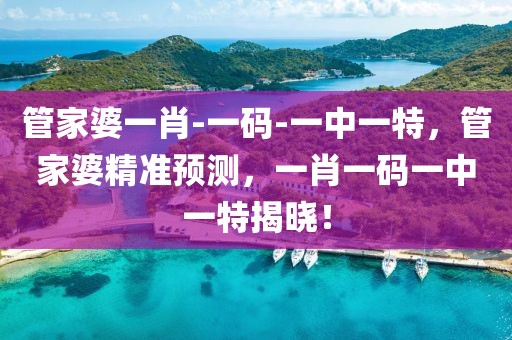 管家婆一肖-一碼-一中一特，管家婆精準預(yù)測，一肖一碼一中一特揭曉！