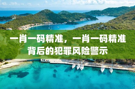 一肖一碼精準(zhǔn)，一肖一碼精準(zhǔn)背后的犯罪風(fēng)險(xiǎn)警示