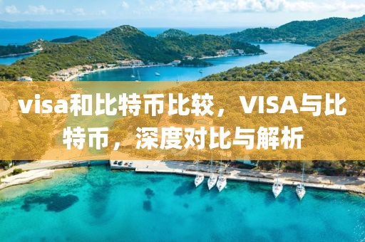 visa和比特幣比較，VISA與比特幣，深度對(duì)比與解析