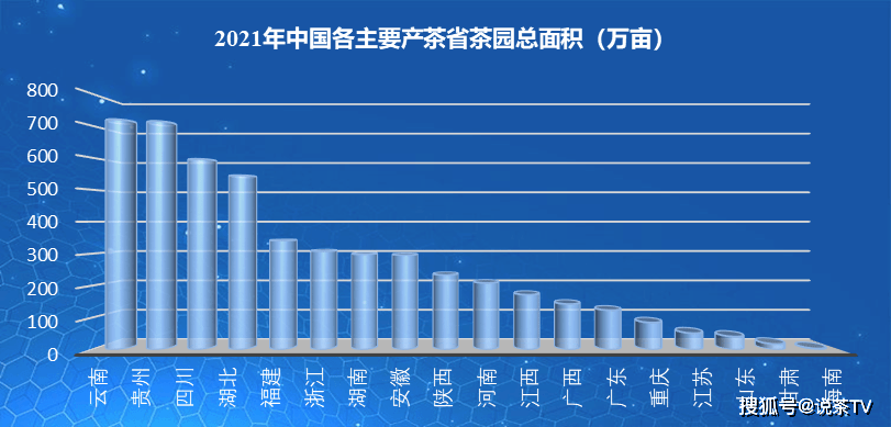 我國茶葉最新國家標準的深度解讀與影響分析，我國茶葉最新國家標準的深度解讀與影響分析，引領茶葉產業(yè)健康發(fā)展新篇章