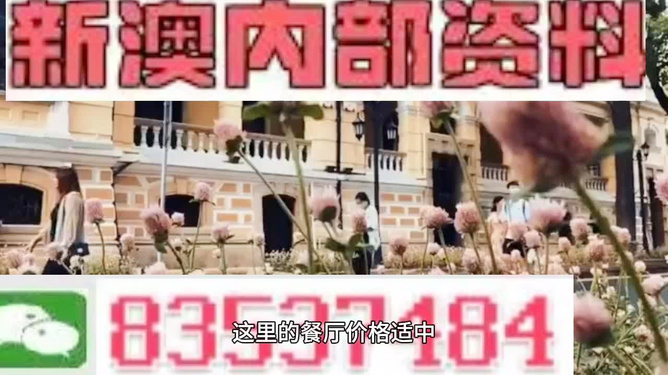 626969cc澳門資料大全mw正版，澳門資料大全MW正版犯罪警示，切勿觸碰賭博紅線，警惕風險！