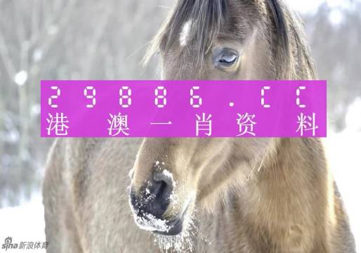 澳門一肖一碼100%準(zhǔn)嗎資料，澳門一肖一碼，所謂的百分百準(zhǔn)確資料背后的犯罪真相