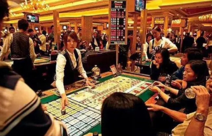 澳門獨家12碼精準，澳門獨家12碼精準犯罪警示，警惕非法賭博活動風險