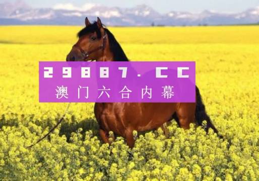 202l年澳門正版全資料，2023年澳門正版全資料匯編