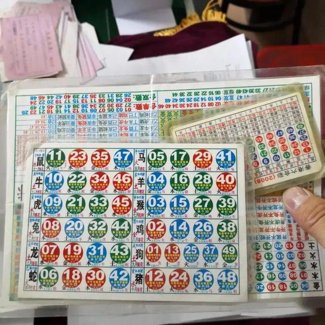 新澳門彩生肖綜合走勢圖，澳門彩生肖走勢圖，警惕違法犯罪風險