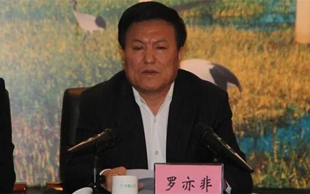 北京新能源汽車號查，北京新能源汽車號查詢