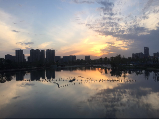 新川科技園 最新情況，新川科技園最新動態(tài)一覽