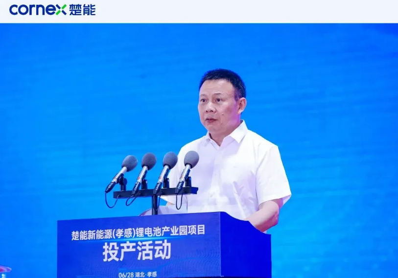 新能源股份有限公司,楚能新能源股份有限公司，新能源股份有限公司與楚能新能源股份有限公司，引領綠色能源新篇章