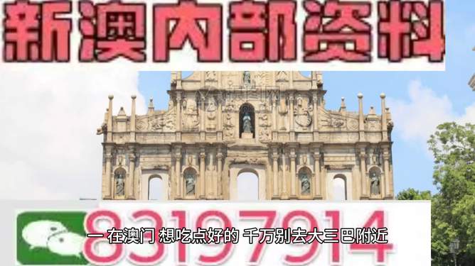 澳門(mén)正版49資料，澳門(mén)正版49資料背后的犯罪風(fēng)險(xiǎn)揭秘
