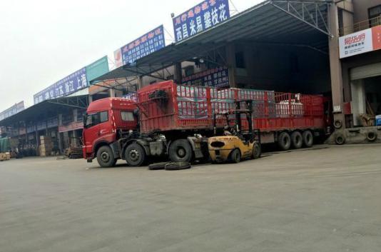成都新能源汽車限行嗎，成都新能源汽車限行政策解讀