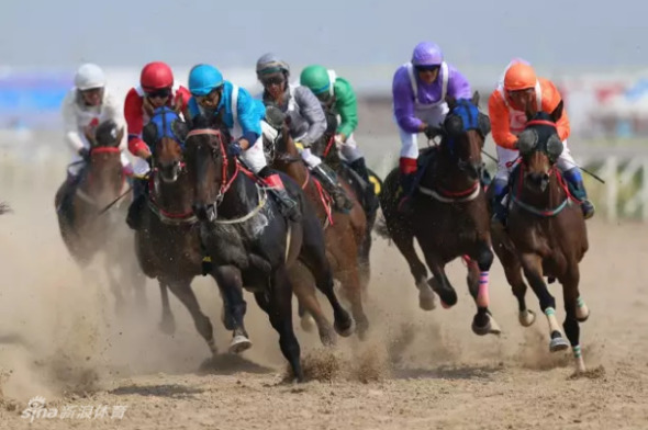 香港澳門特馬今晚開馬結(jié)果，香港澳門今晚特馬開獎(jiǎng)結(jié)果揭曉