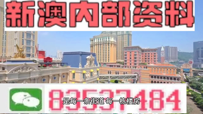 澳門資料大全 正版，澳門資料大全，正版與犯罪邊緣的警示