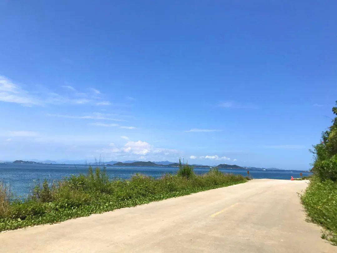 鹿嘴大道公路規(guī)劃圖最新,鹿嘴大道公路規(guī)劃圖最新消息，鹿嘴大道公路規(guī)劃圖最新動(dòng)態(tài)更新消息揭秘！