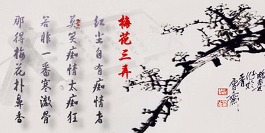 澳門正版梅花詩307期，澳門正版梅花詩第307期解析