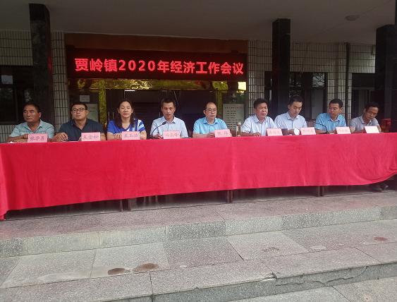 河南項(xiàng)城最新新聞，河南項(xiàng)城最新新聞報(bào)道