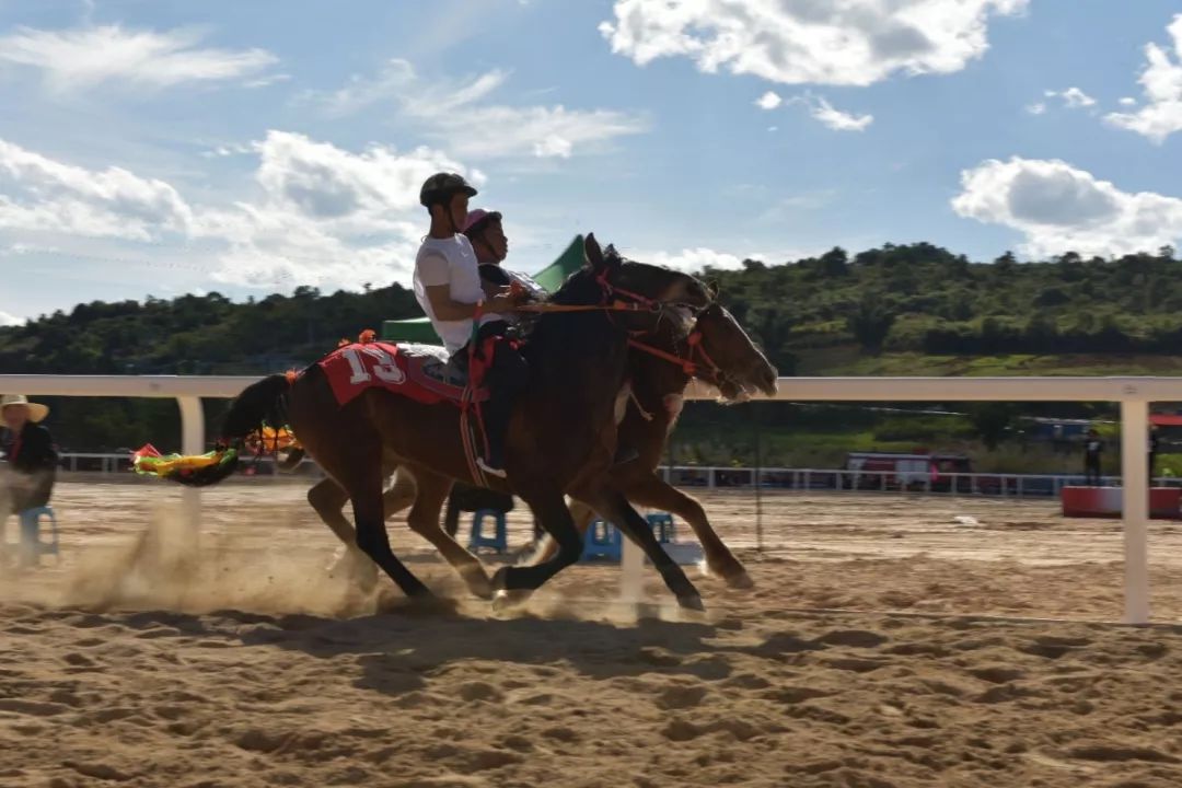 2021澳門跑馬圖，澳門跑馬圖全景圖，揭秘賽馬盛況