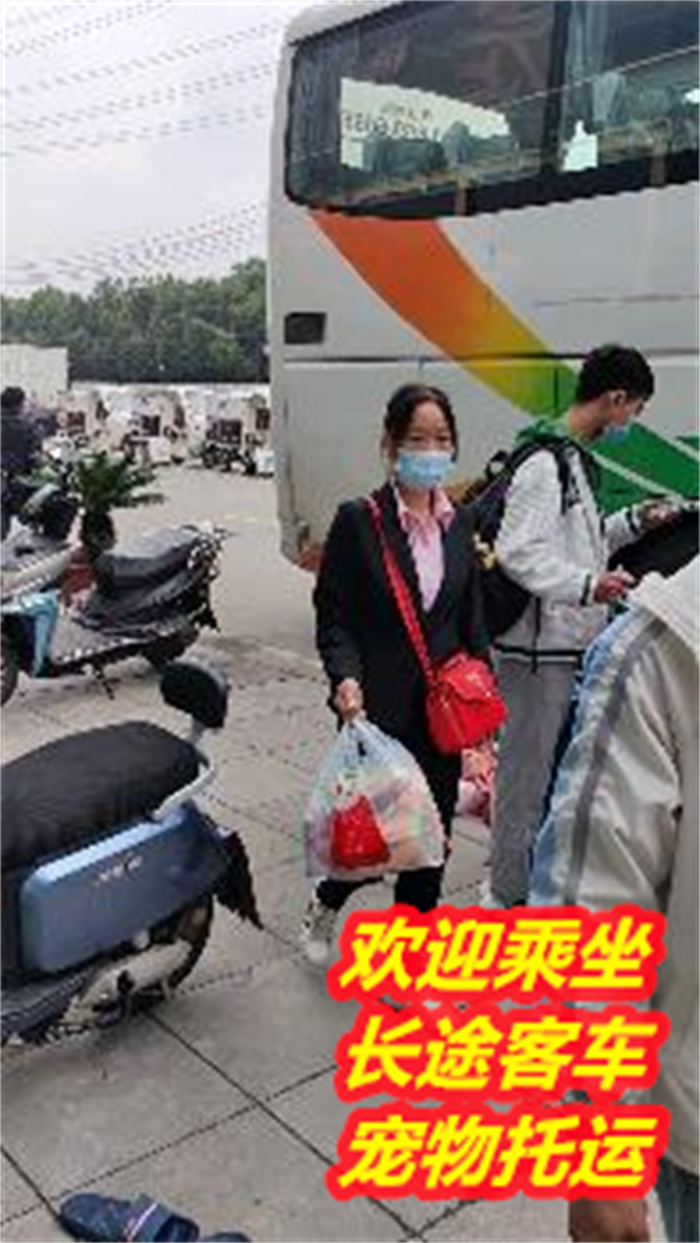 石獅最新新聞,石獅最新新聞事件，石獅最新新聞事件報(bào)道速遞