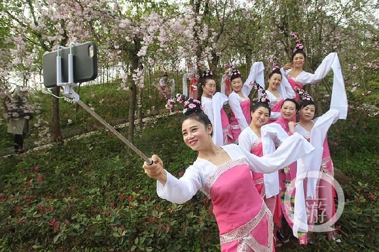 墊江最新新聞報(bào)道匯總，墊江最新新聞報(bào)道匯總概覽