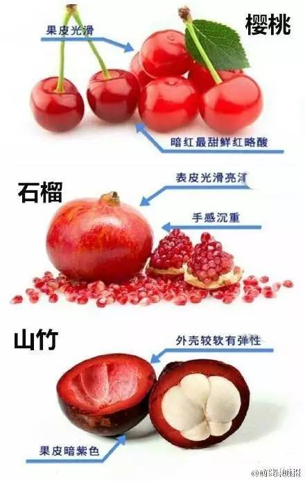 澳門水果奶奶免費資料論壇,新澳門彩歷史開獎記錄走勢圖，澳門水果奶奶資料論壇與澳門彩開獎走勢圖的法律風險解析