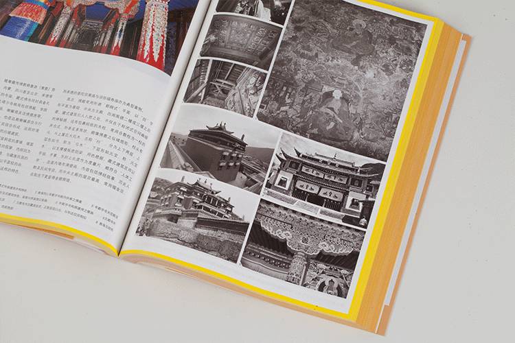 西陲透視彩圖正版2020全年213期馬報，西陲透視彩圖正版馬報犯罪行為的警示與剖析