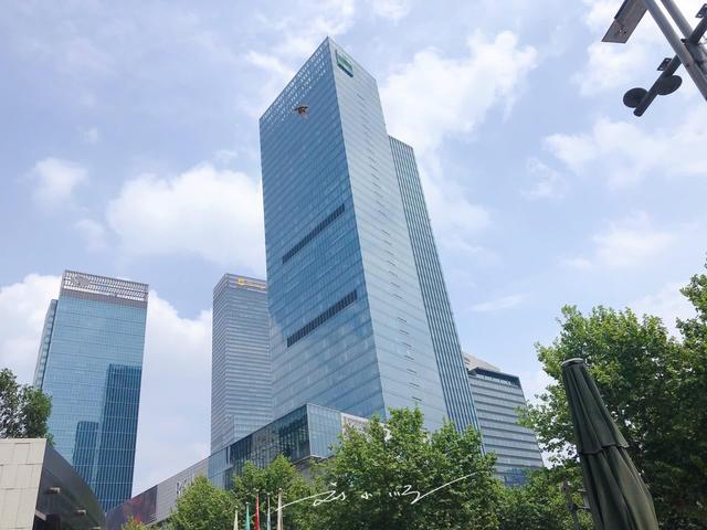 雙甲路邊攤最新動態(tài)，探索城市夜市的全新面貌，雙甲路邊攤最新動態(tài)揭秘，城市夜市全新面貌探索