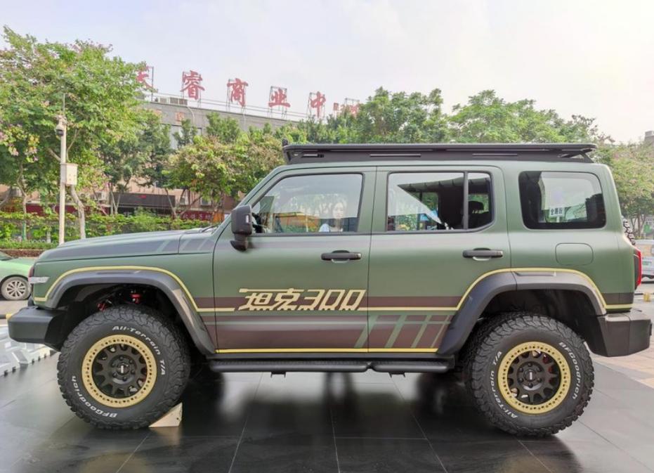 輕橙時代新能源汽車待遇，政策扶持下的綠色出行新風尚，新能源汽車輕橙時代，政策助力下的綠色出行新潮流