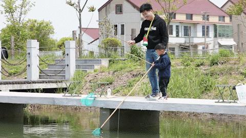 龍湖龍蝦價(jià)格走勢(shì)圖最新，龍湖龍蝦價(jià)格走勢(shì)圖及最新動(dòng)態(tài)分析